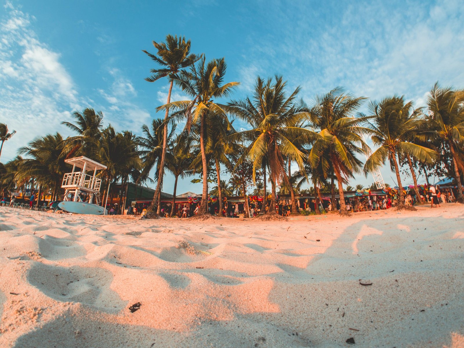 green coconut trees under by cirrus clouds